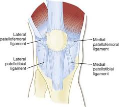 Patellofemoral Ligament Reconstruction Surgeon | Dr. Roger Chams